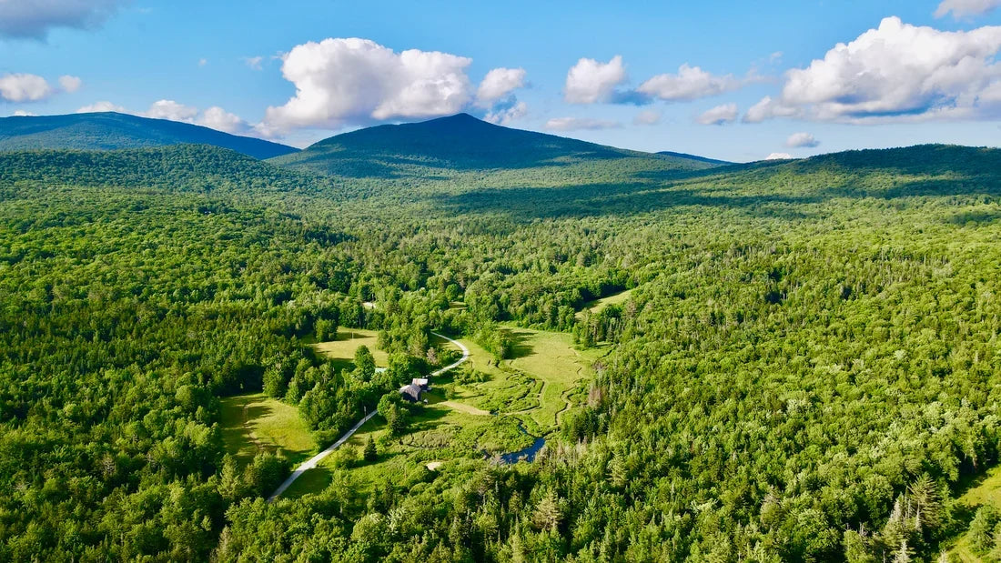 Inspiring Thoughtful Land Stewardship | Jockey Hill Farm, VT