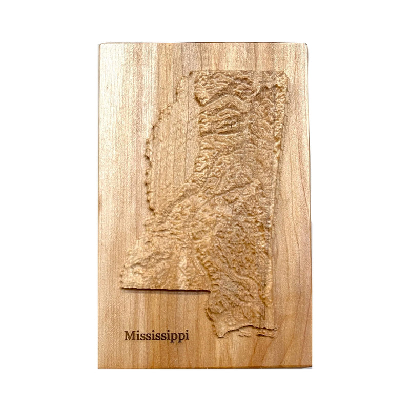 Mississippi Topographic 3D Relief State Map | Mississippi Map Gift