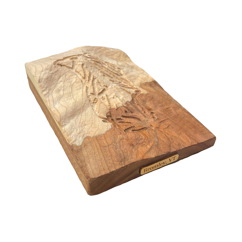Bromley Vermont 3D Relief Ski Map | Vermont Ski Gift